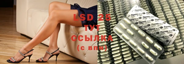 прущие грибы Абаза