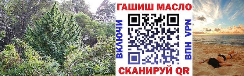 ТГК гашишное масло где продают Сольвычегодск