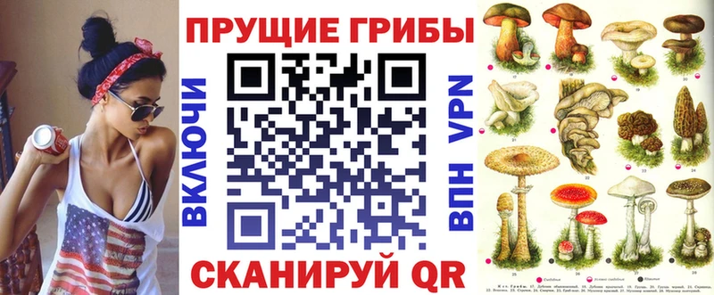 МЕГА ссылка Сольвычегодск Псилоцибиновые грибы Psilocybe